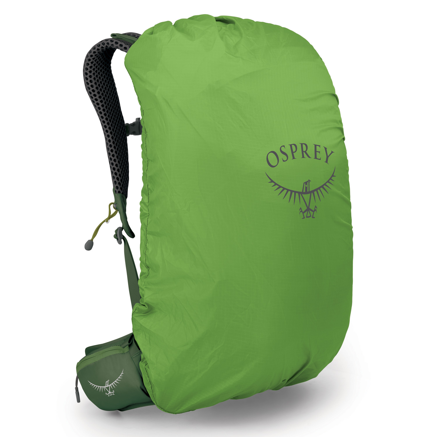 OSPREY Wander/Trekkingrucksack Stratos 24 seaweed/matcha green Abbildung 3
