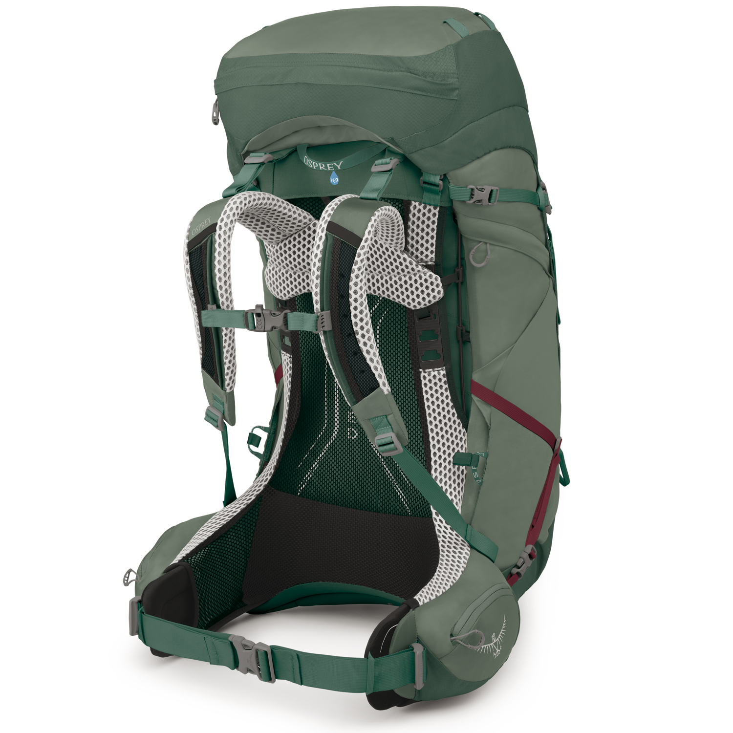 OSPREY Wander/Trekkingsrucksack WXS/S Aura AG LT 65 koseret/darjeeling spring green Abbildung 2
