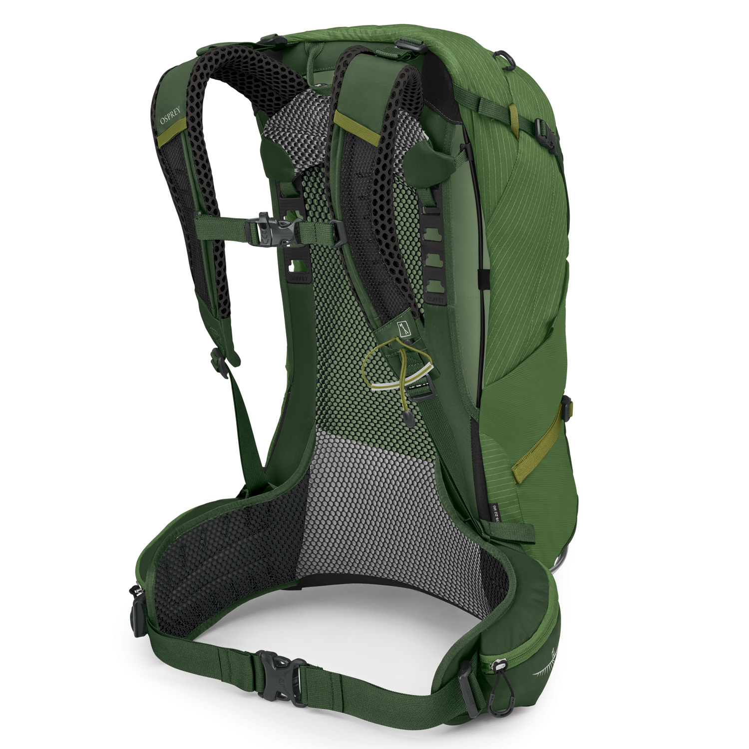 OSPREY Wander/Trekkingrucksack Stratos 24 seaweed/matcha green Abbildung 2