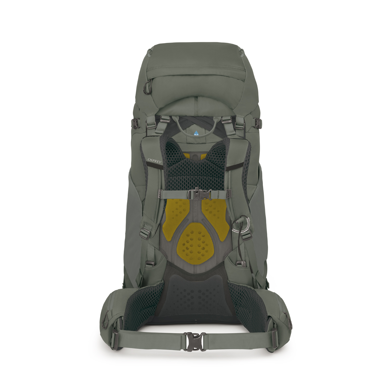 OSPREY Wander/Trekkingrucksack Kyte 68 rocky brook green Abbildung 2