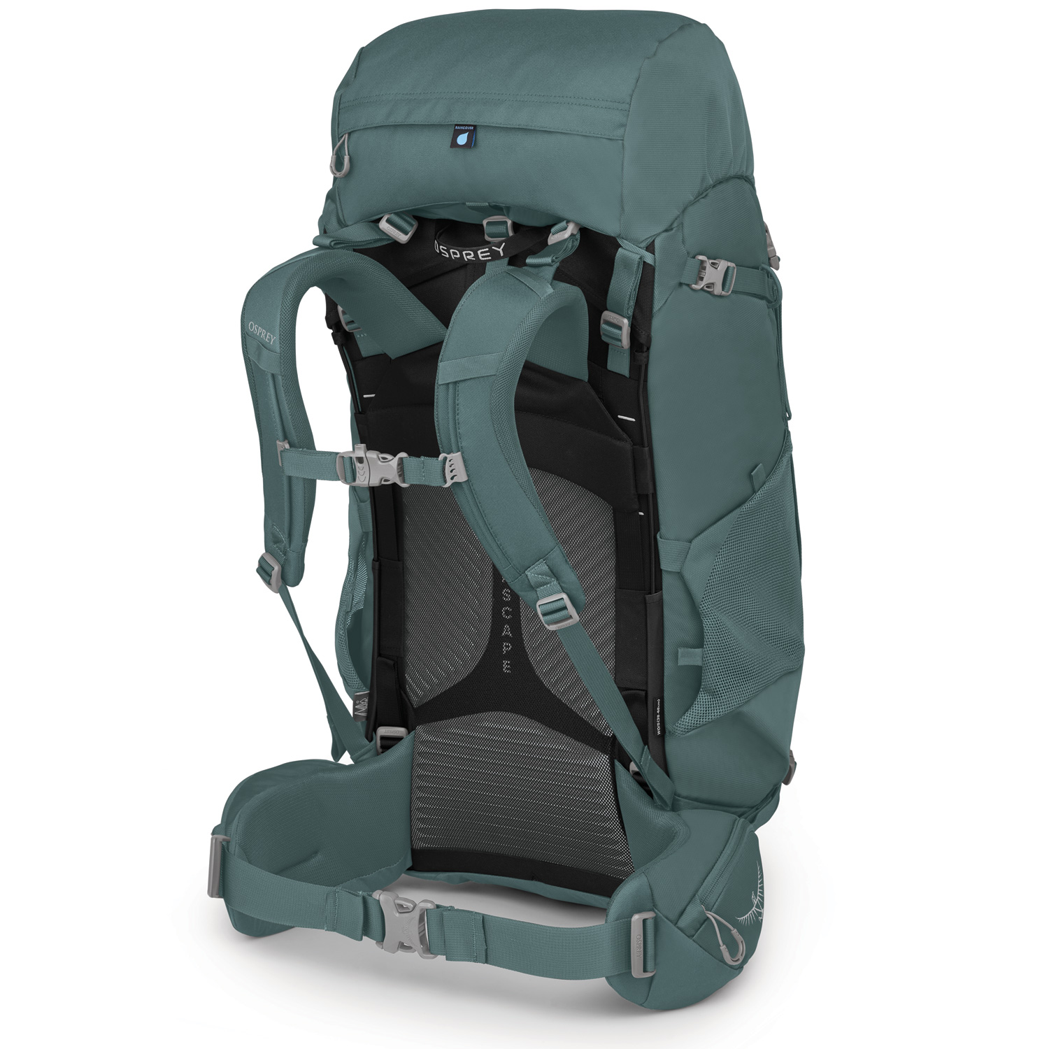 OSPREY Wander/Trekkingrucksack Viva 65 Succulent Green